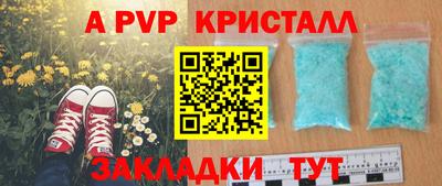 гашик Славгород