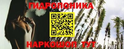 гашик Славгород
