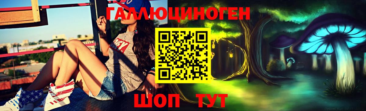 Новочеркасск  Галлюциногенные грибы прущие грибы  Галлюциногенные грибы Psilocybe  Вход с VPN 